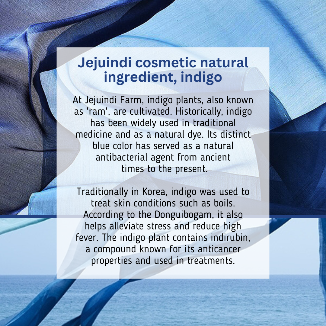 [JEJU INDI] Indigo Moist Gel Cream 80g